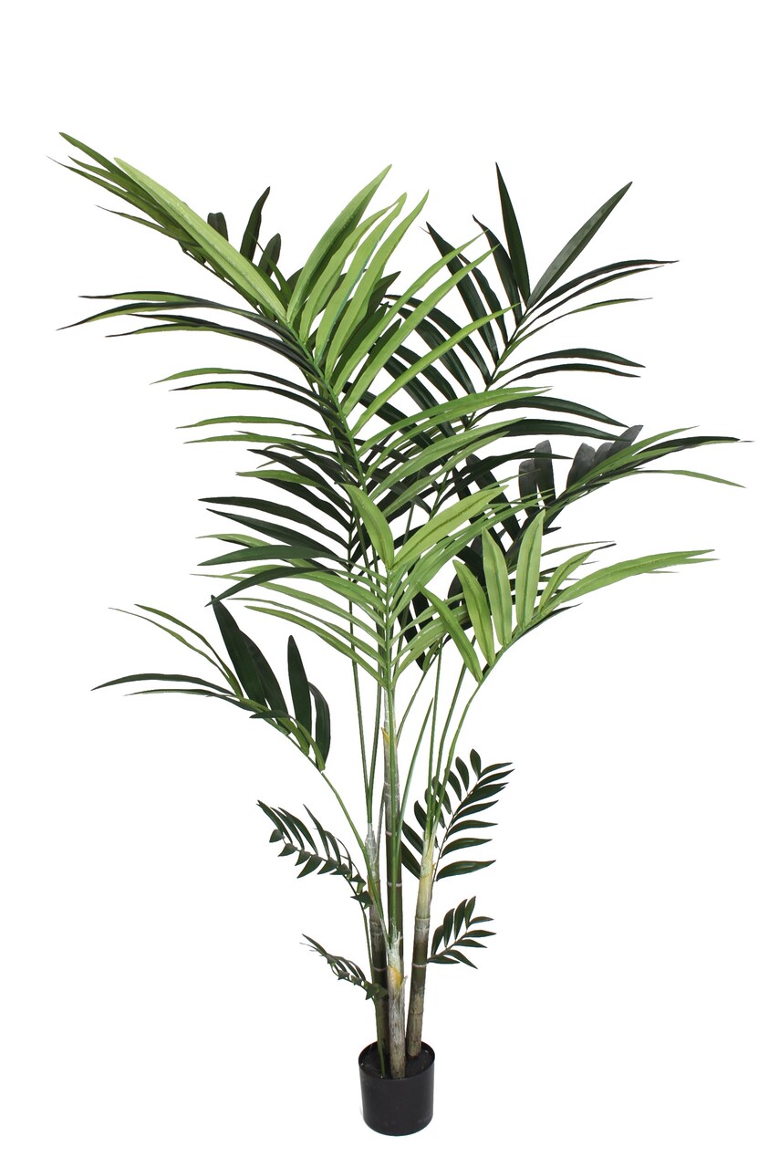 8-Pack 6' Artificial Kentia Palm Trees with 191 Leaves – Bulk Faux Indoor Greenery with Decorative Pots – Realistic Maintenance-Free Plants for Events, Offices & Large Spaces